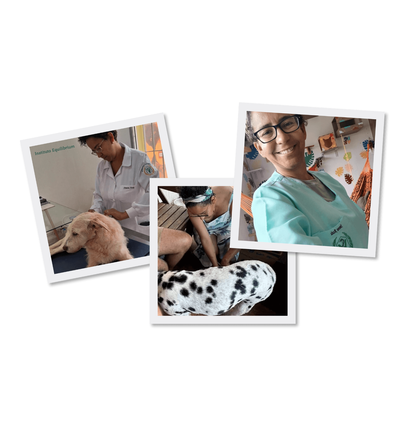 Clínica Veterinária Integrativa - Patinhas de Assis