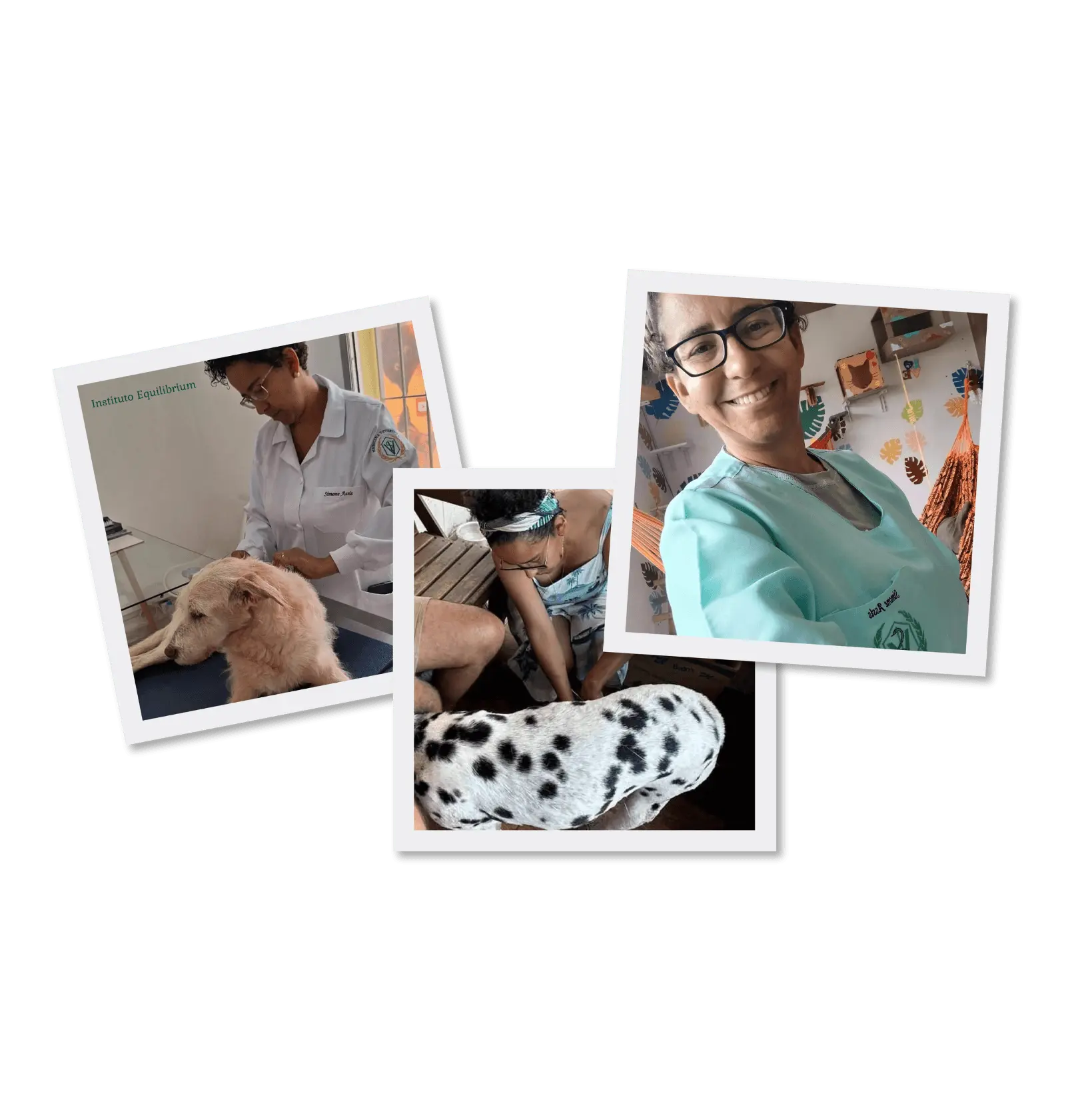 Clínica Veterinária Integrativa - Patinhas de Assis